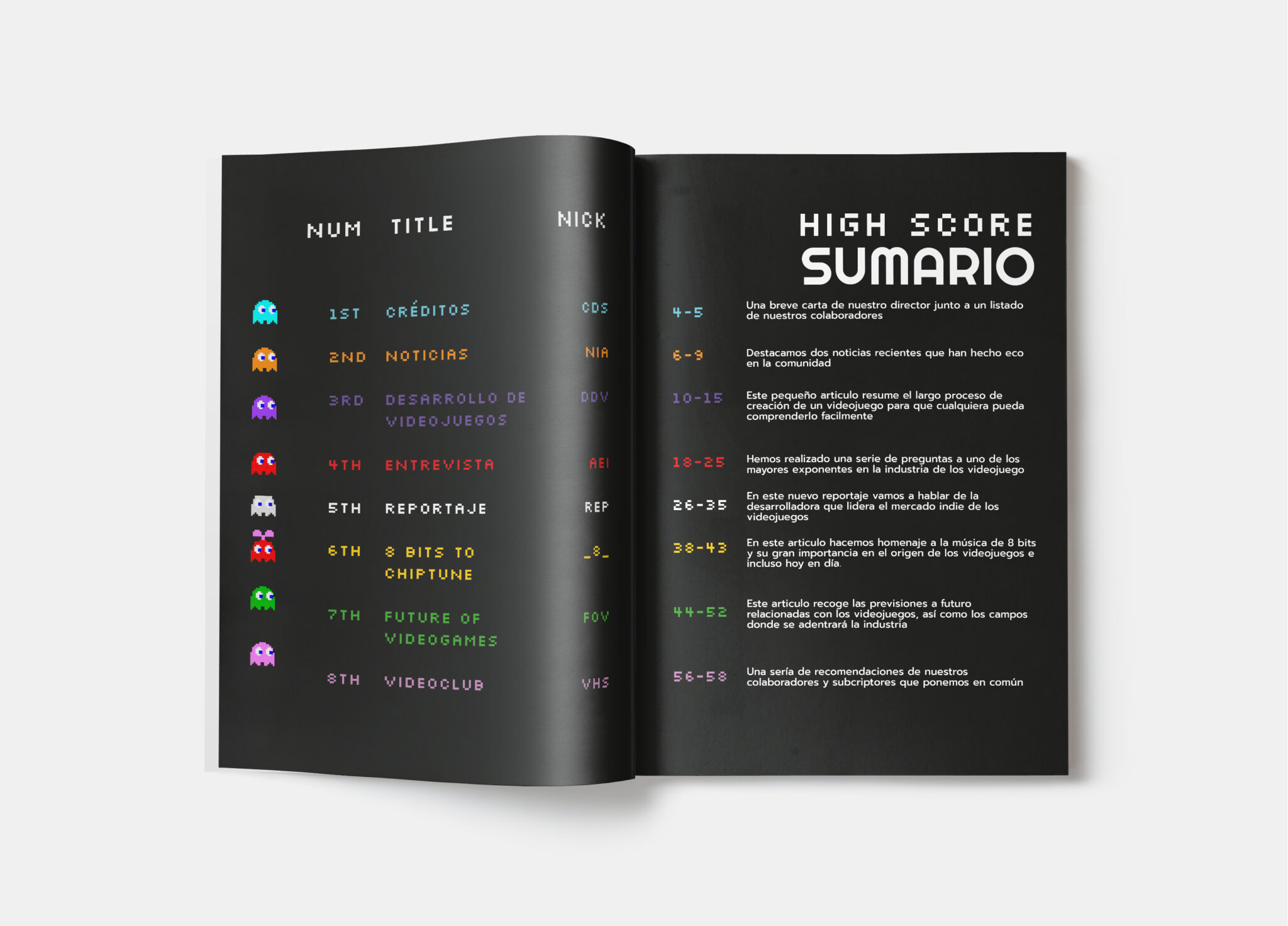 revista sumario